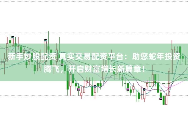 新手炒股配资 真实交易配资平台：助您蛇年投资腾飞，开启财富增长新篇章！