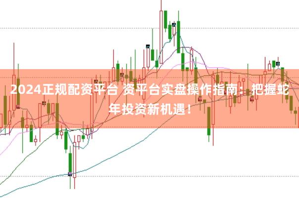 2024正规配资平台 资平台实盘操作指南：把握蛇年投资新机遇！