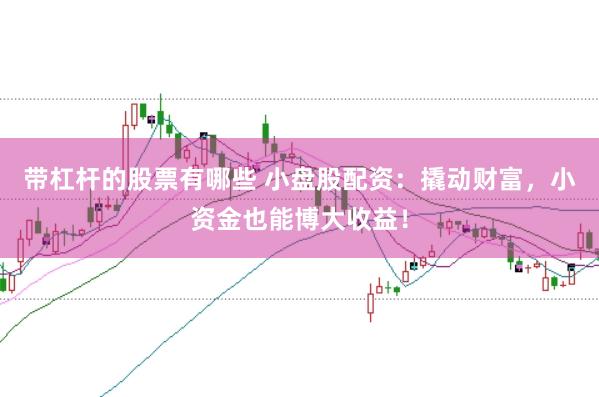 带杠杆的股票有哪些 小盘股配资：撬动财富，小资金也能博大收益！