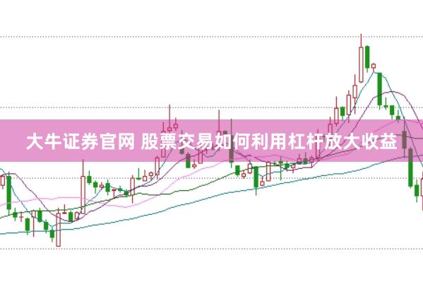 大牛证券官网 股票交易如何利用杠杆放大收益