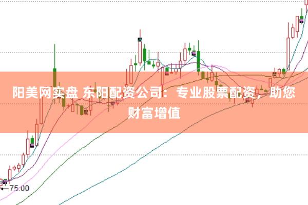 阳美网实盘 东阳配资公司：专业股票配资，助您财富增值