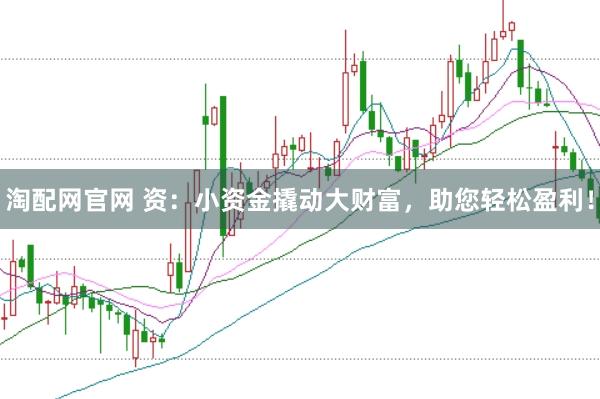 淘配网官网 资：小资金撬动大财富，助您轻松盈利！