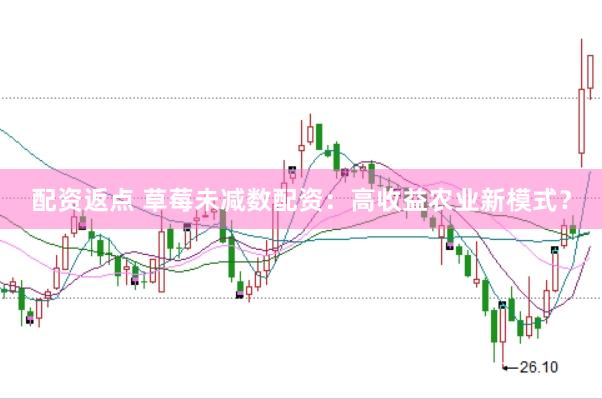 配资返点 草莓未减数配资：高收益农业新模式？