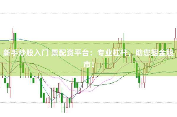 新手炒股入门 票配资平台：专业杠杆，助您掘金股市！