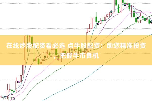 在线炒股配资看必选 点牛股配资：助您精准投资，把握牛市良机