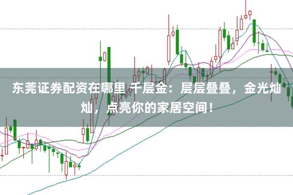 东莞证券配资在哪里 千层金：层层叠叠，金光灿灿，点亮你的家居空间！