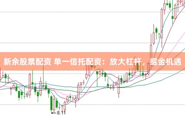 新余股票配资 单一信托配资:放大杠杆,掘金机遇