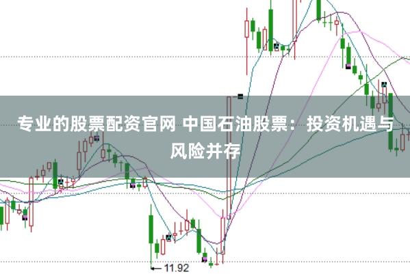 专业的股票配资官网 中国石油股票:投资机遇与风险并存