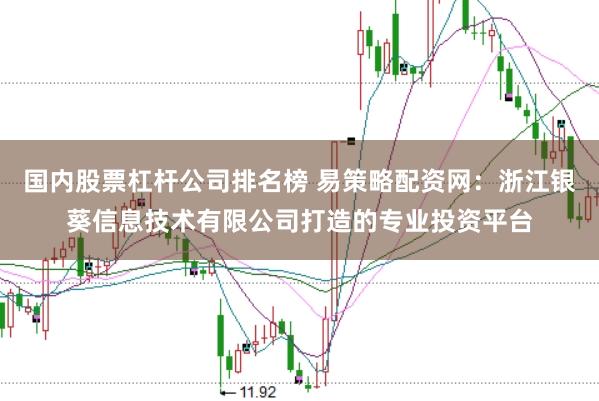 国内股票杠杆公司排名榜 易策略配资网:浙江银葵信息技术有限公司打造的专业投资平台