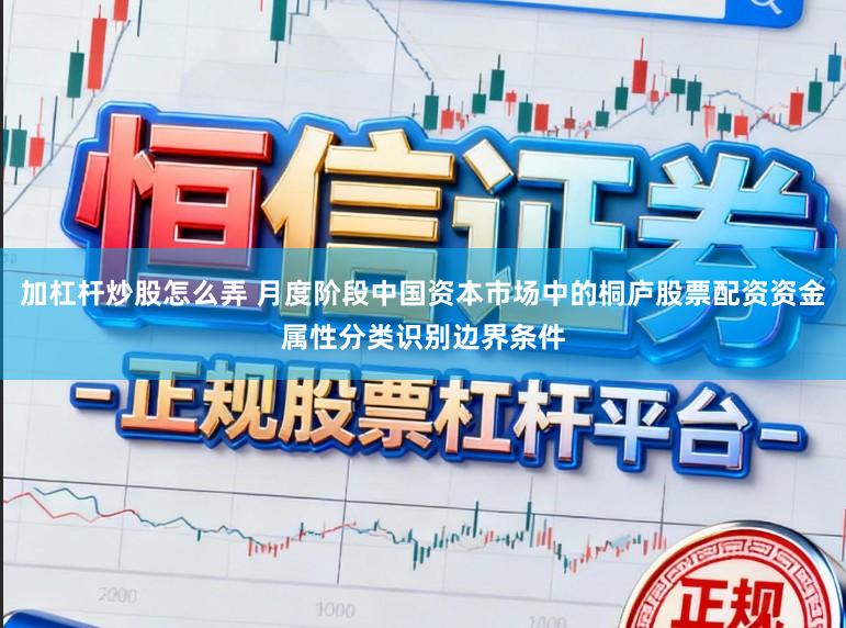 加杠杆炒股怎么弄 月度阶段中国资本市场中的桐庐股票配资资金属性分类识别边界条件