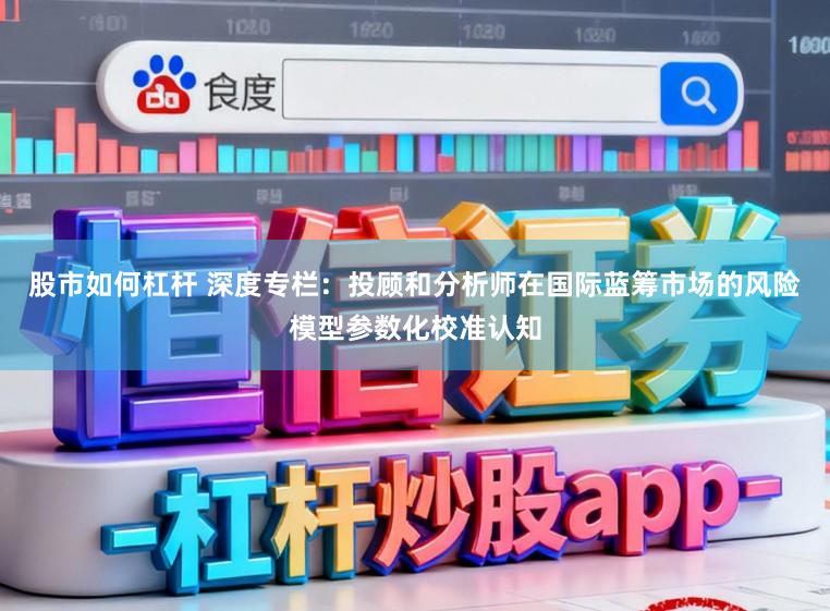 股市如何杠杆 深度专栏:投顾和分析师在国际蓝筹市场的风险模型参数化校准认知